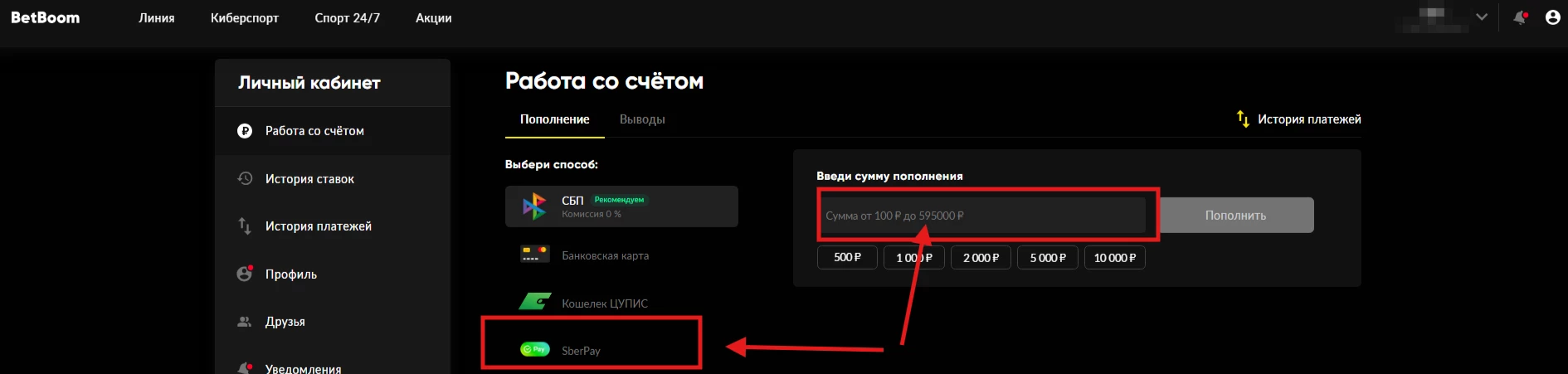Пополнение счета БК Бетбум через SberPay