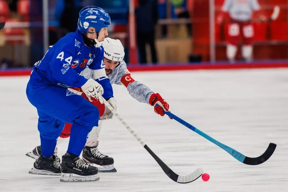 Неолимпийские зимние виды спорта Хоккей с мячом