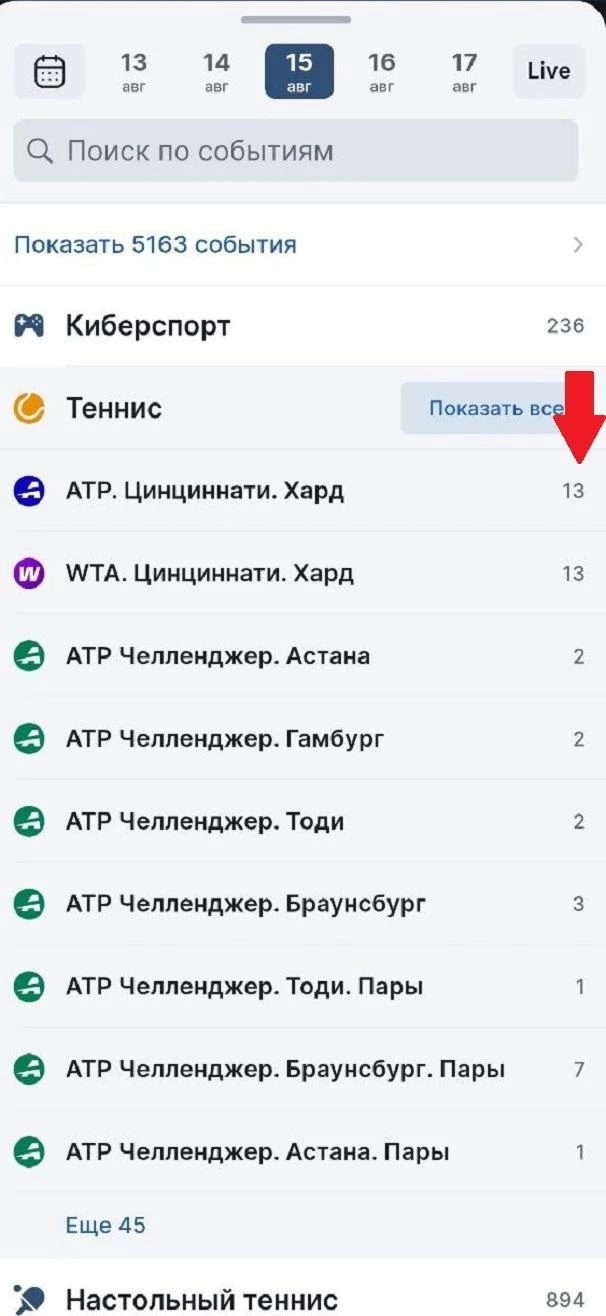 Выбор турнира в БК 24Бет