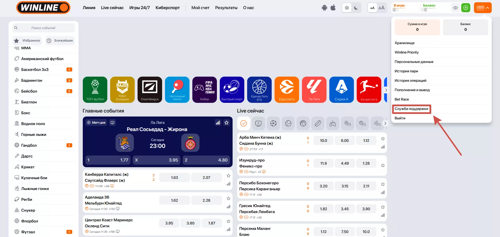 Служба поддержки на сайте БК Винлайн