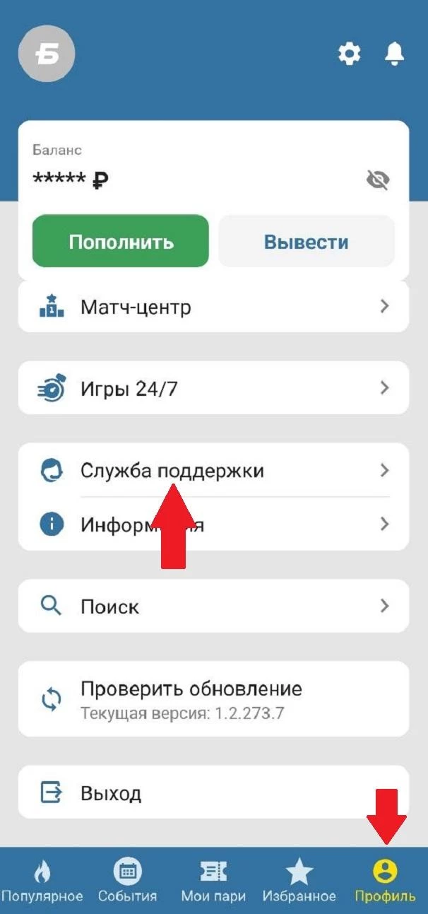 Раздел Служба поддержки в приложении БК Бетсити