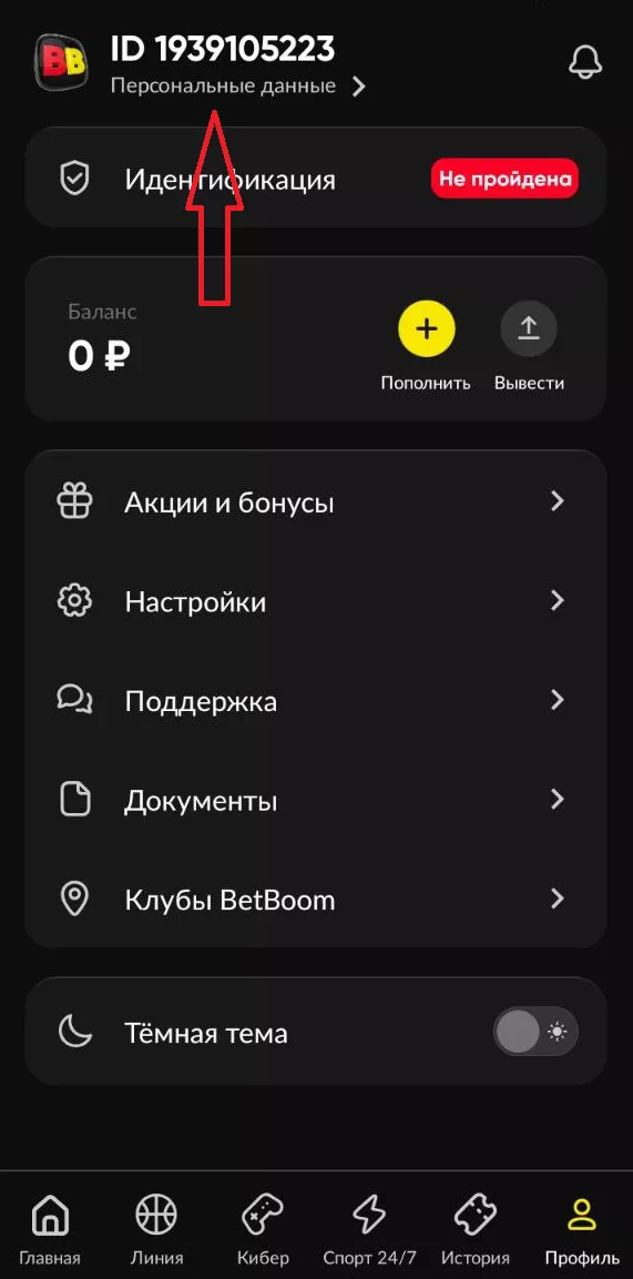 Персональные данные в Бетбум