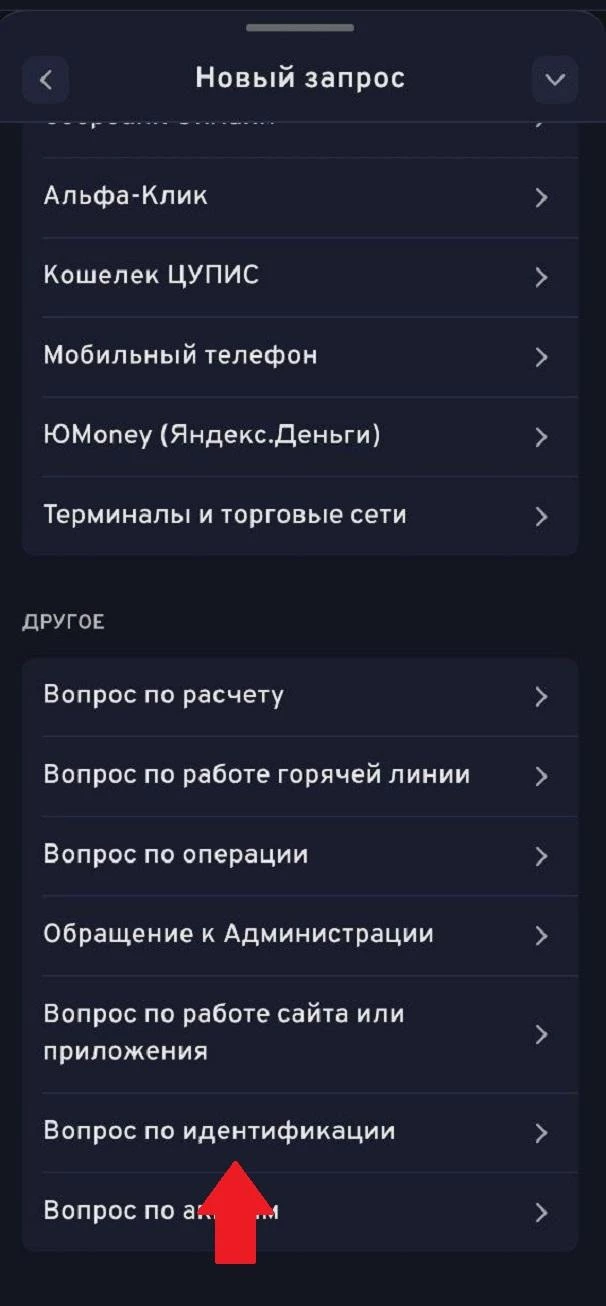 Меню во вкладке Запрос в приложении БК Беттери