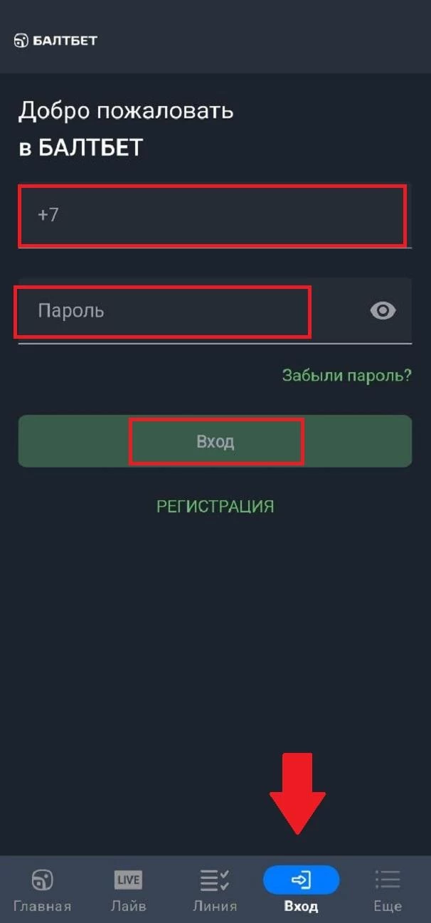 Авторизация в приложении БК Балтбет