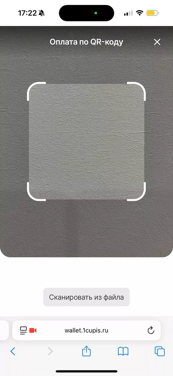 Как платить картой ЦУПИС онлайн