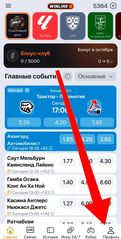 Куда вводить секретный промокод Винлайн
