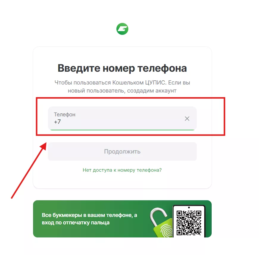 Форма для ввода номера в ЕЦУПИС