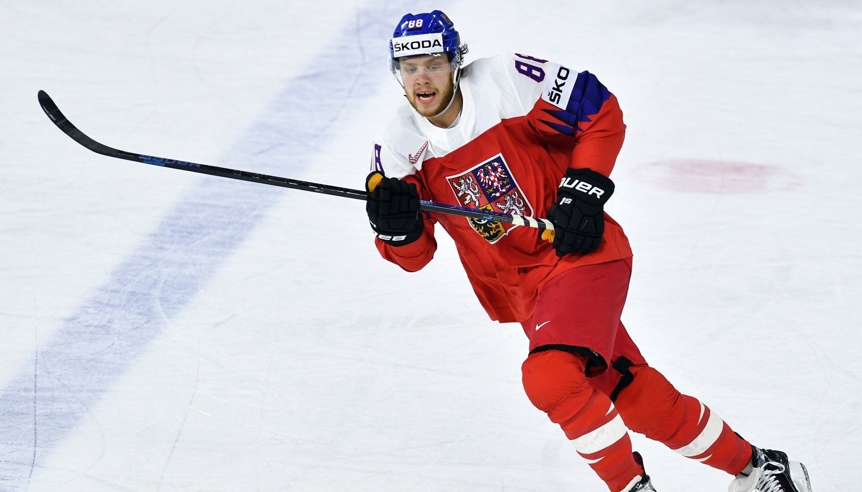 Давид Пастрняк