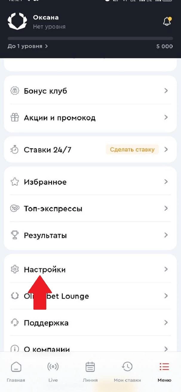 Раздел Настройки в БК Олимпбет