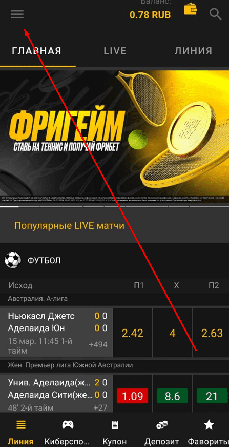 Вход в личный кабинет букмекера Мелбет