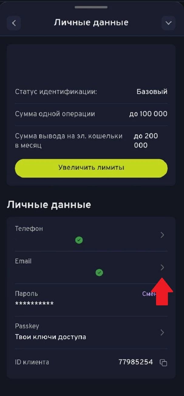 Кнопка изменения адреса электронной почты в БК Беттери