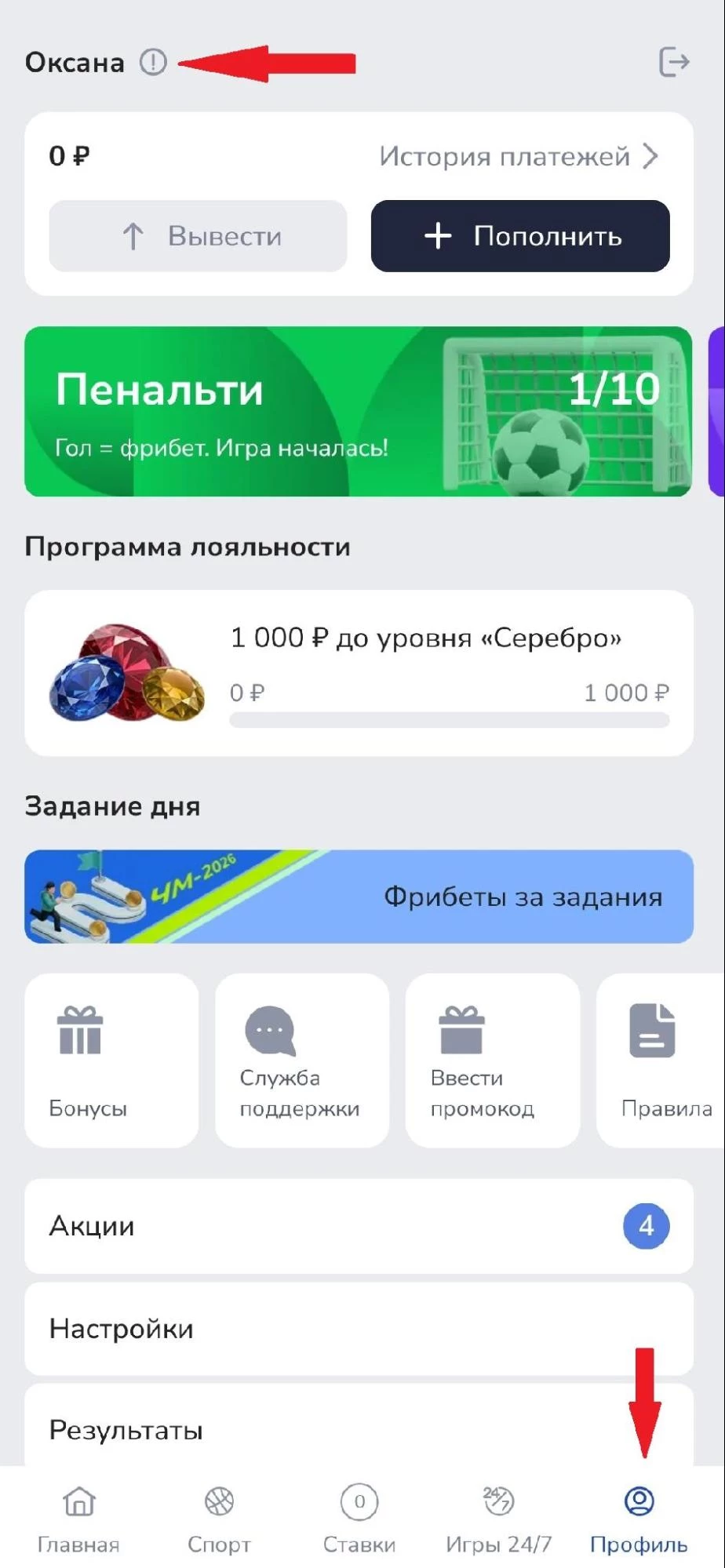 Раздел Профиль в БК Зенит