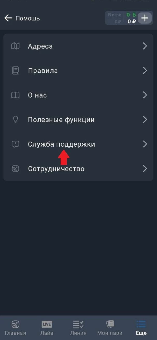 Раздел Служба поддержки в БК Балтбет