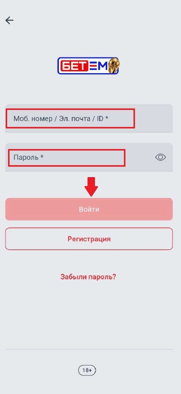 Форма авторизации в приложении БК Бет-М