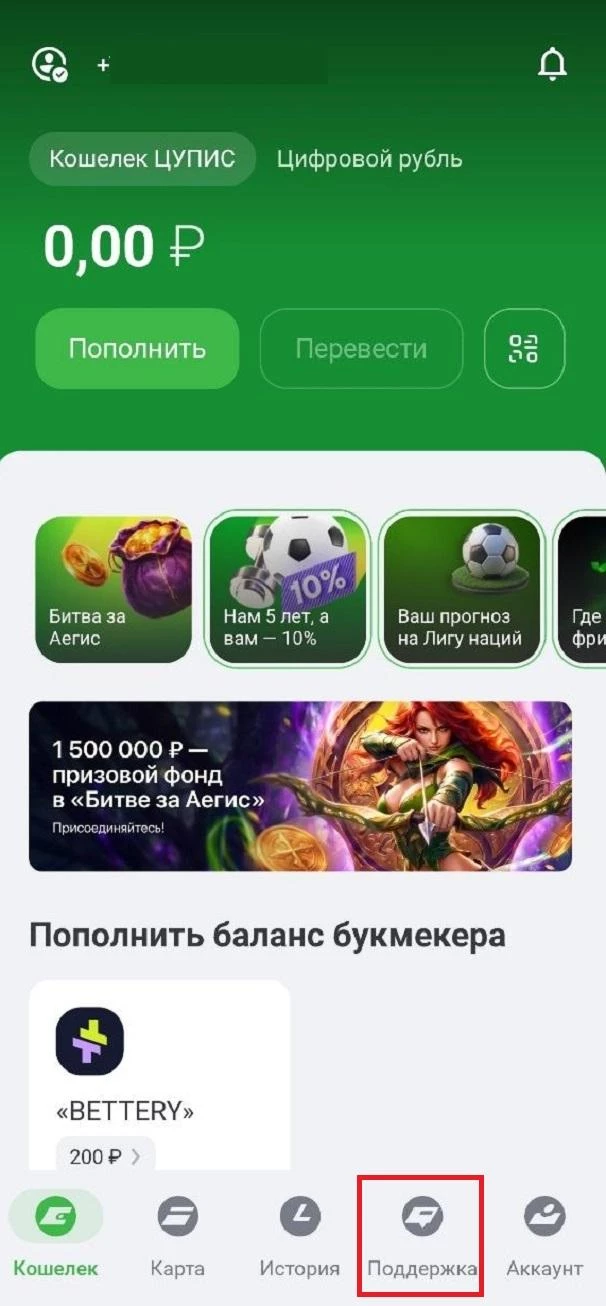 Раздел Поддержка в ЕЦУПИС