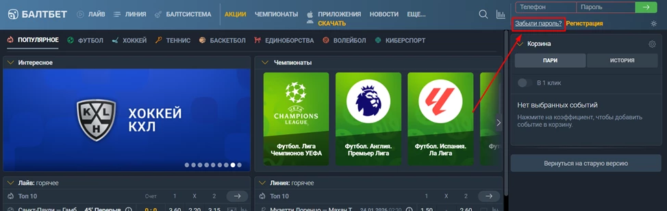 Кнопка Забыли пароль в БК Балтбет