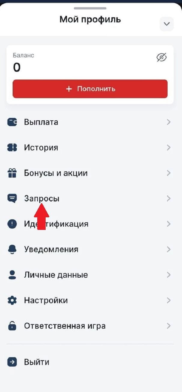 Раздел Запросы в БК 24Бет