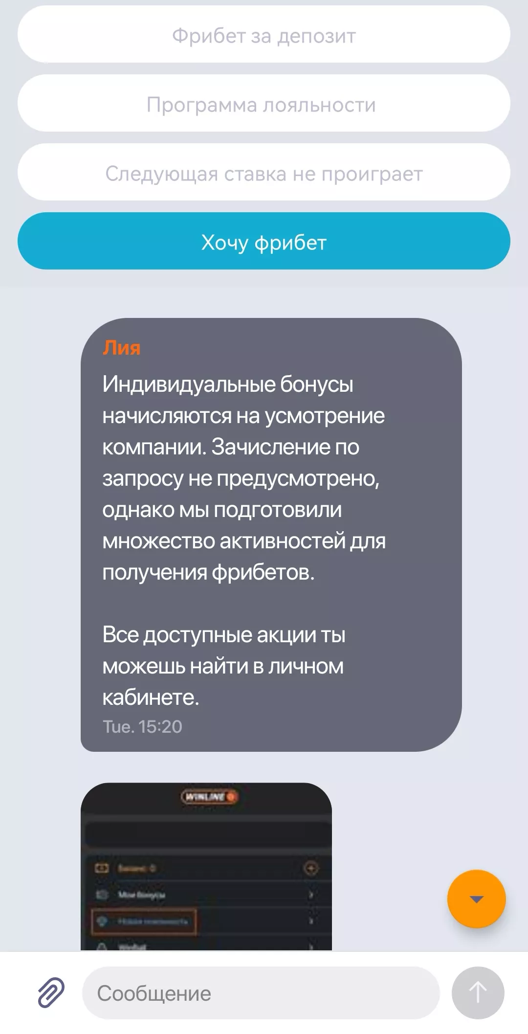 Общение с поддержкой БК Винлайн