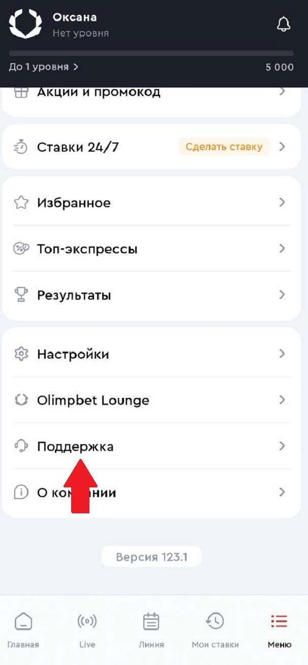 Поддержка в приложении Олимпбет