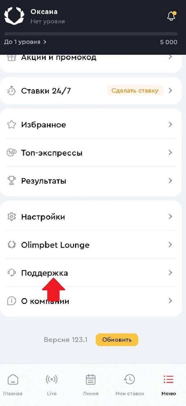Раздел Поддержка в БК Олимпбет