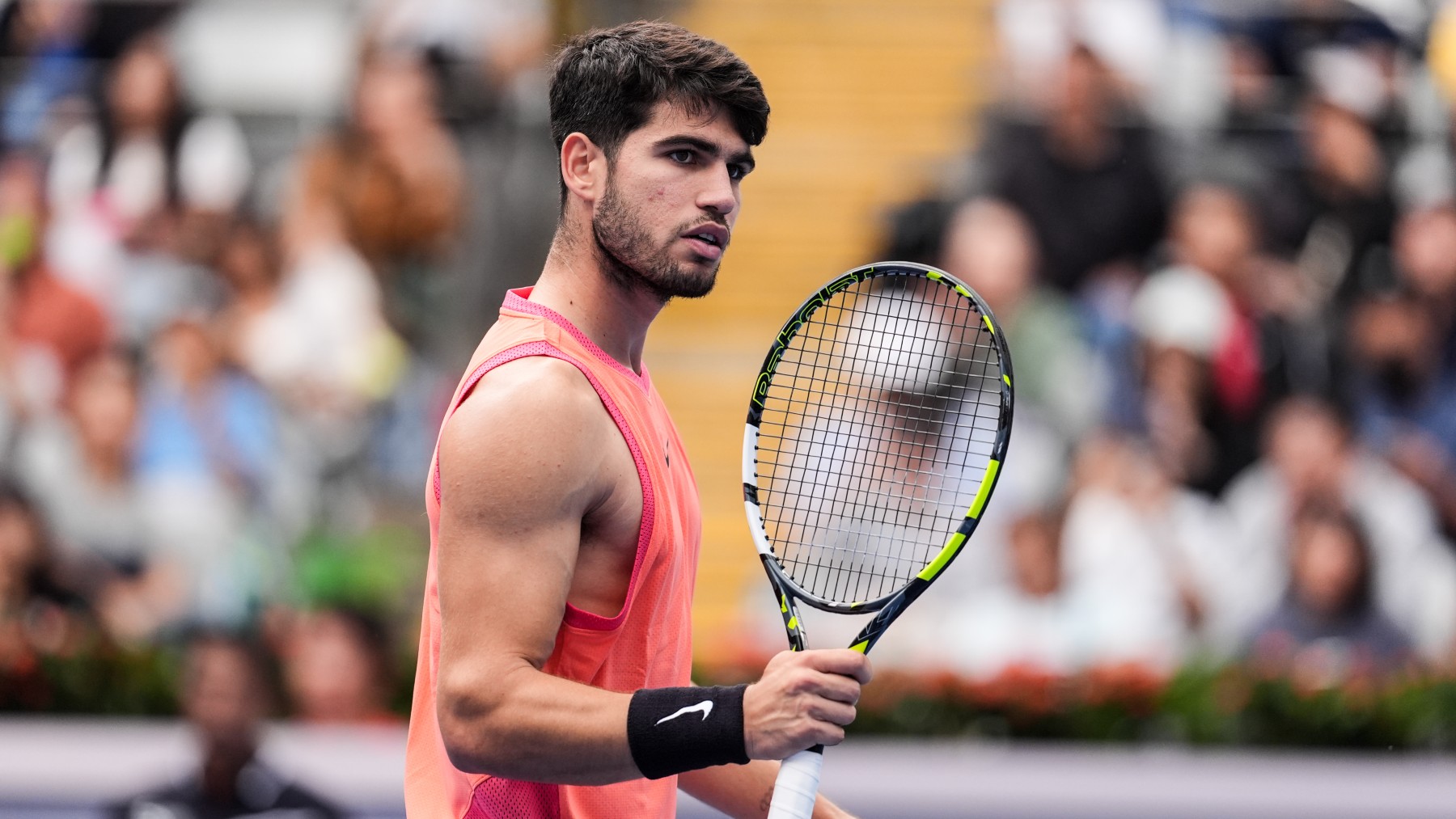 Карлос Алькарас