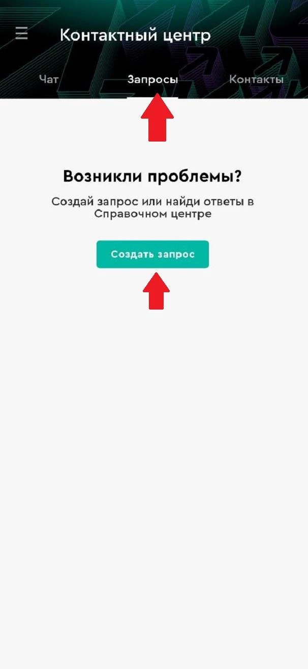 Раздел Запросы в приложении БК Пари
