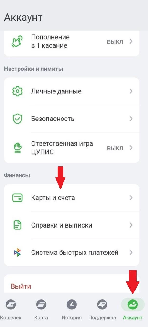 Раздел Аккаунт в ЕЦУПИС