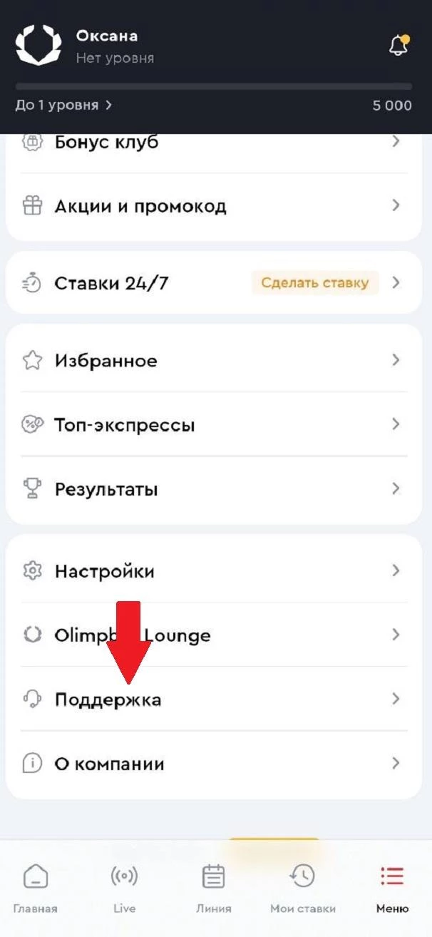 Раздел Поддержка в приложении БК Олимпбет