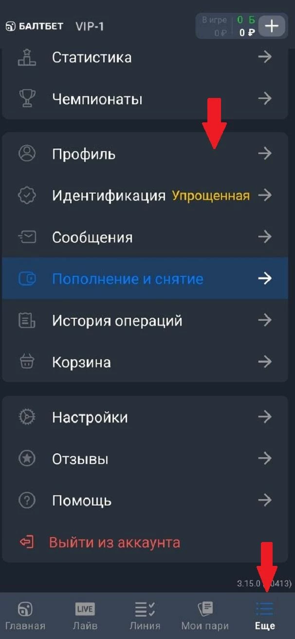 Раздел Профиль в БК Балтбет