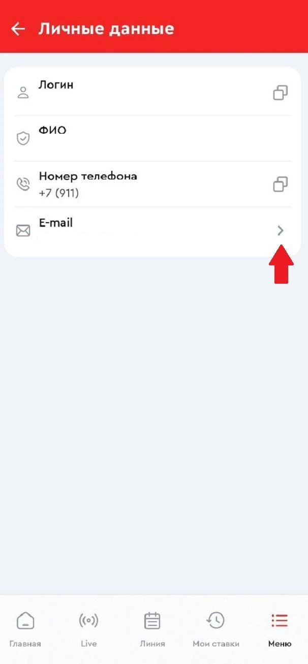 Вкладка E-mail в БК Олимпбет