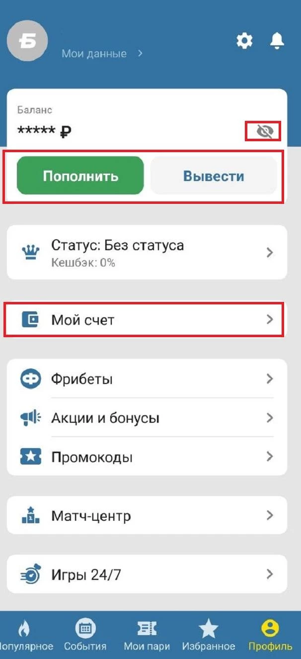 Раздел Мой счет в БК Бетсити