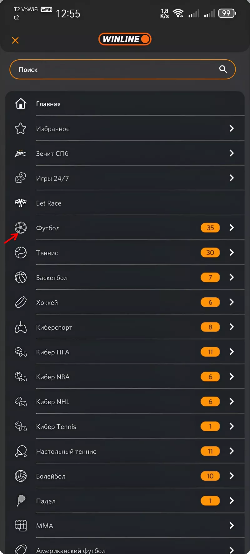Выбор вида спорта в линии мобильного приложения Винлайн