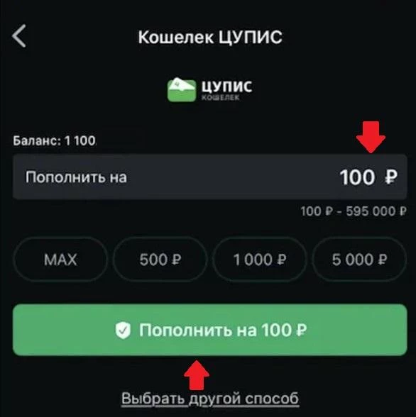 Пополнение счета через Кошелек ЦУПИС в БК Леон