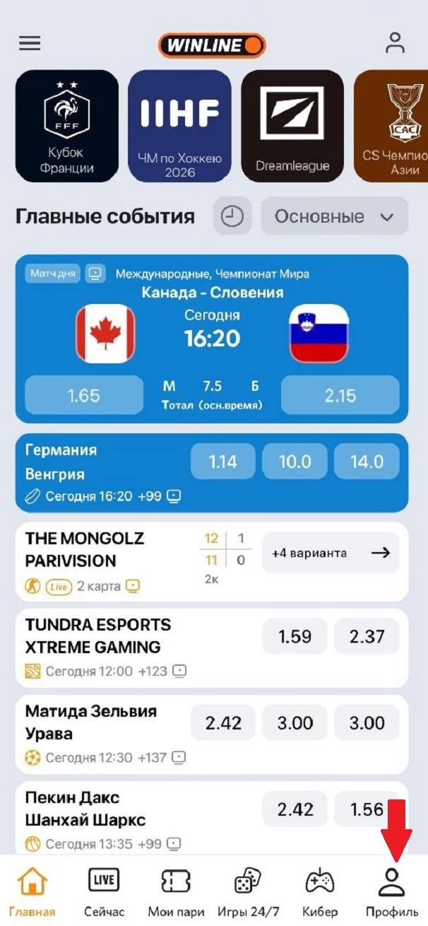 Кнопка Профиль в приложении БК Винлайн