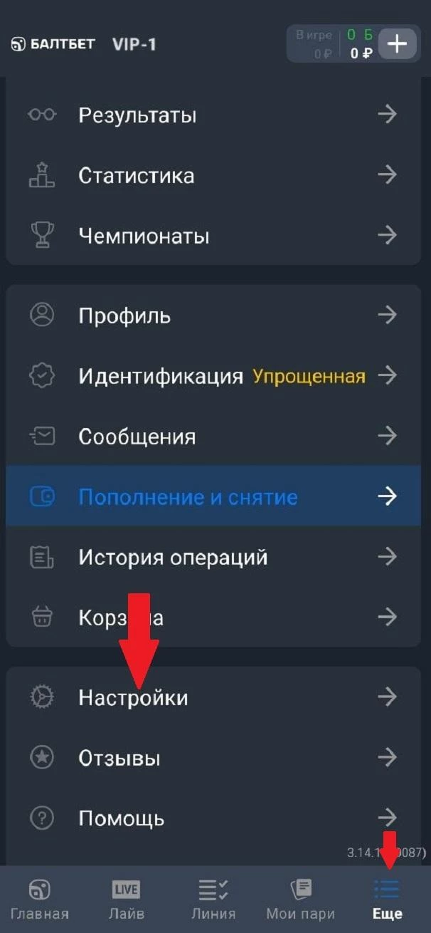 Раздел Настройки в приложении БК Балтбет