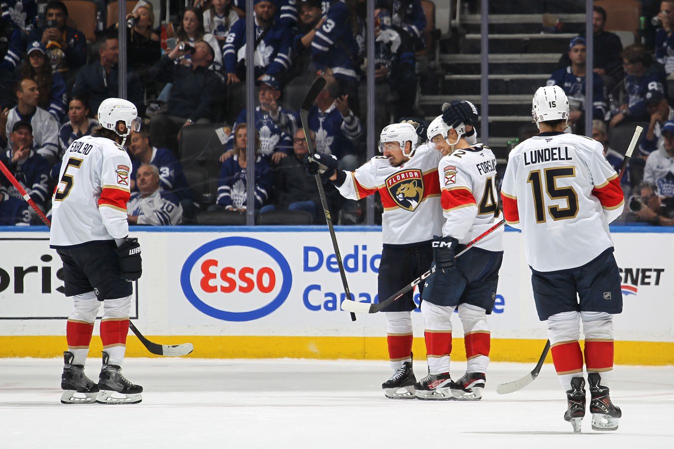 Флорида Пантерз