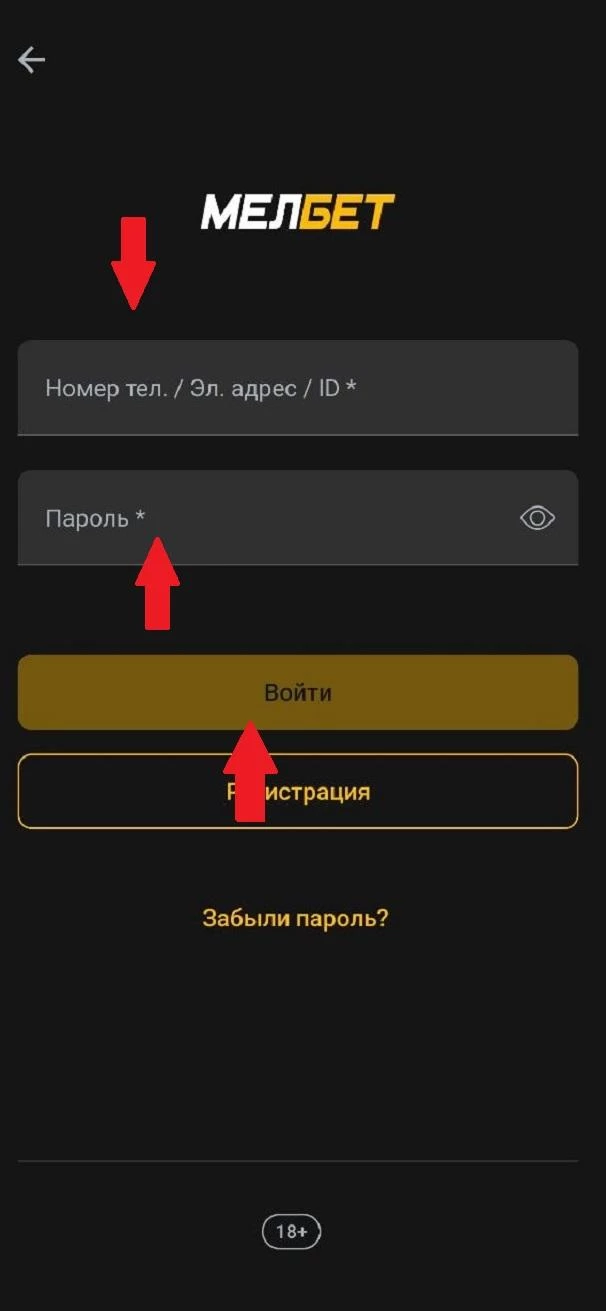 Форма авторизации в приложении БК Мелбет