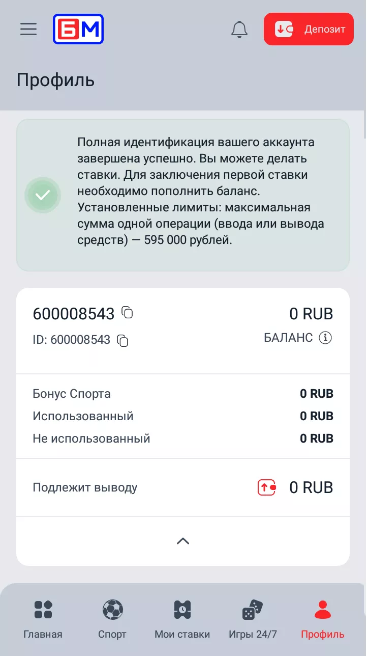 идентификация в бетм