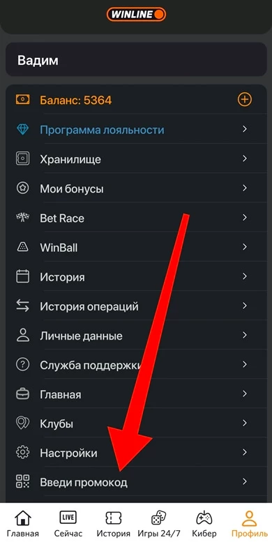 Где вводить секретный промокод Винлайн