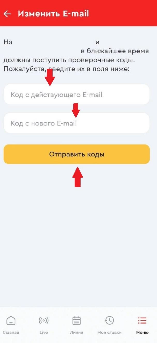 Форма подтверждения изменения адреса электронной почты в БК Олимпбет
