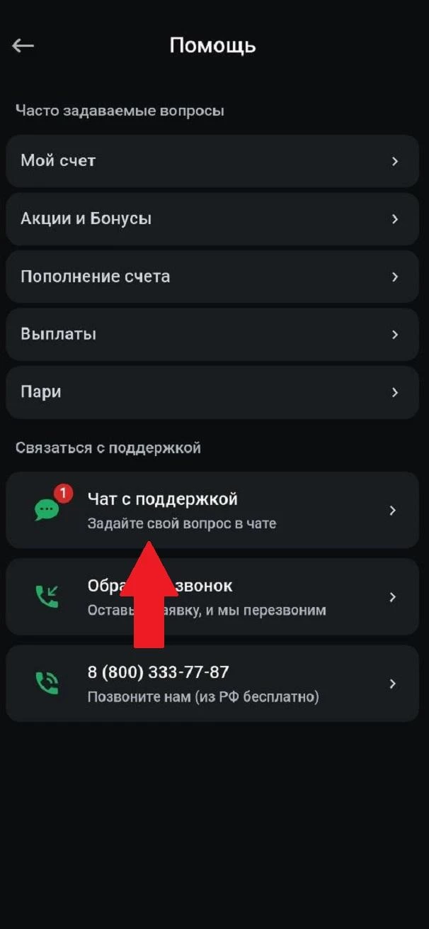 Раздел Помощь в приложении БК Леон