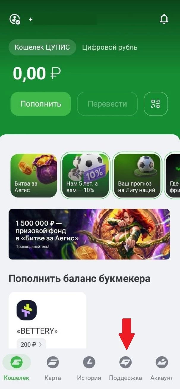 Раздел Поддержка в ЦУПИС