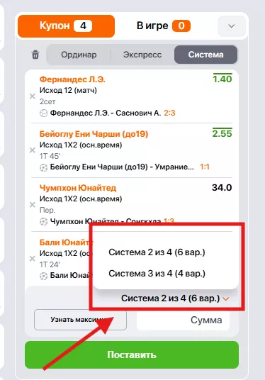 Выбор размерности системы в БК Винлайн