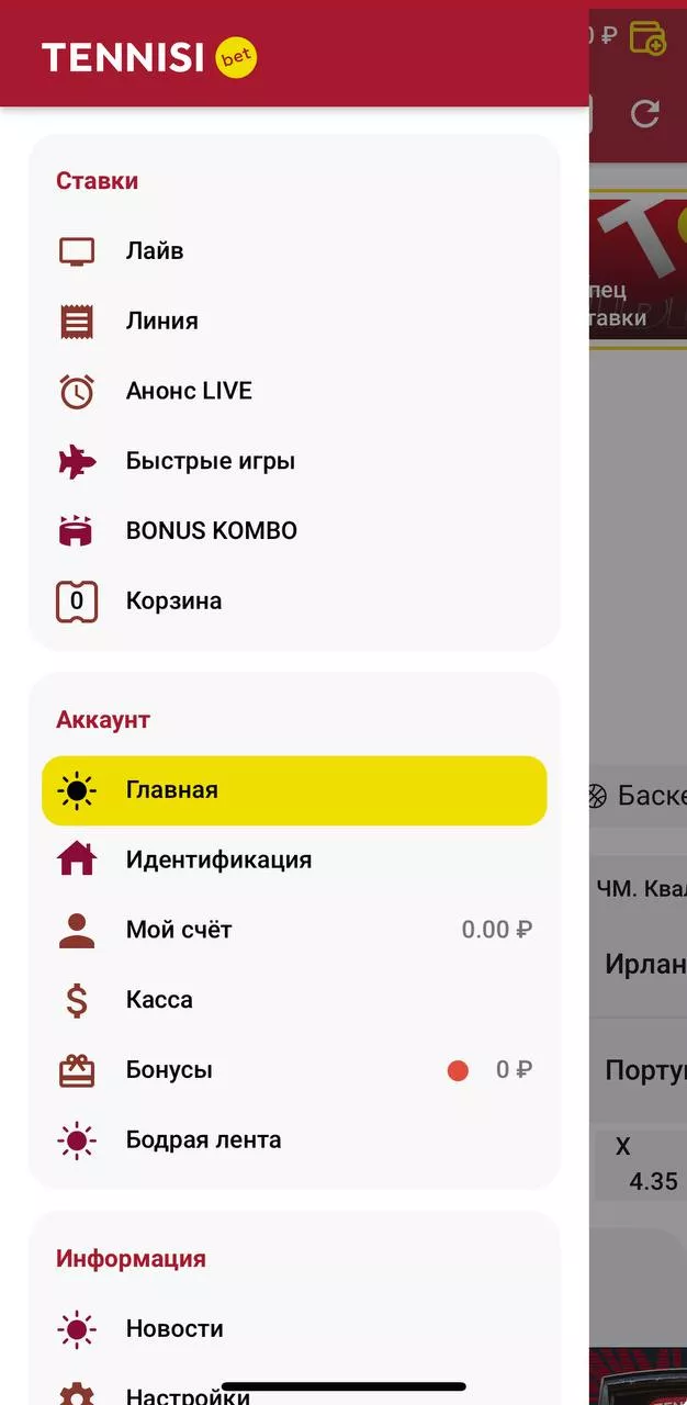 Вид мобильного приложения БК Тенниси