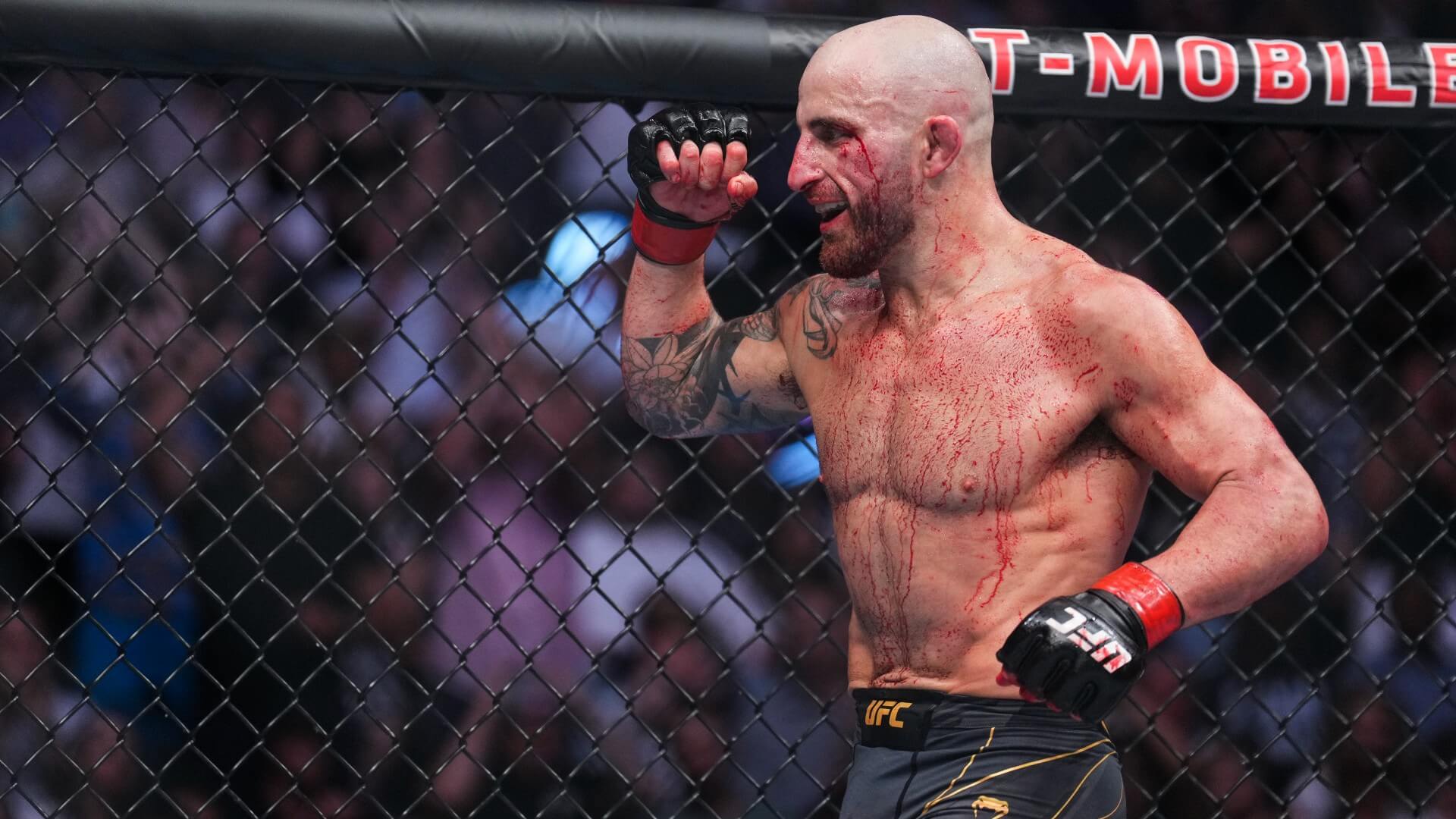 Александр Волкановски