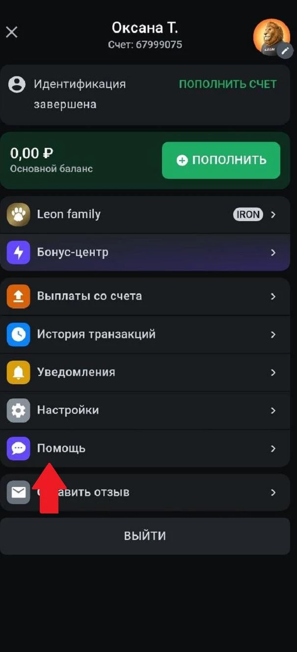 Раздел Помощь в БК Леон