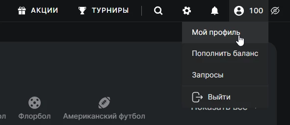 Раздел Мой профиль в БК 24Бет