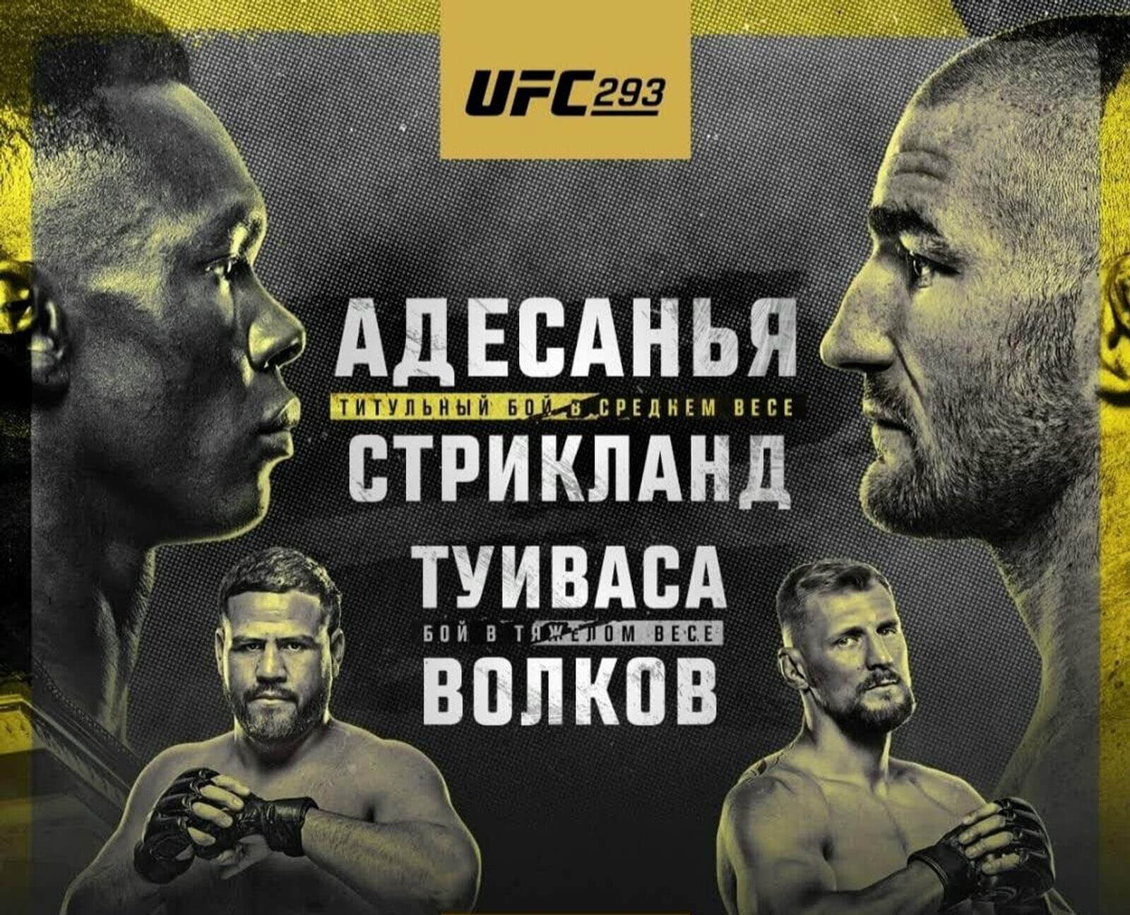 Трансляция UFC 293