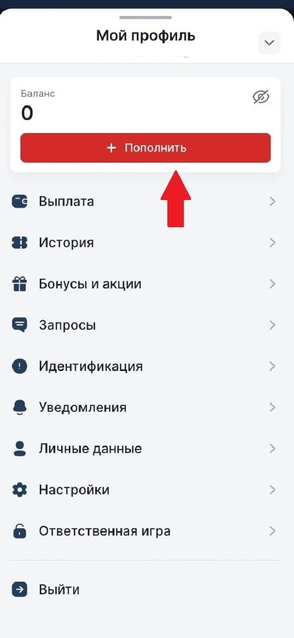 Кнопка Пополнить в БК 24Бет