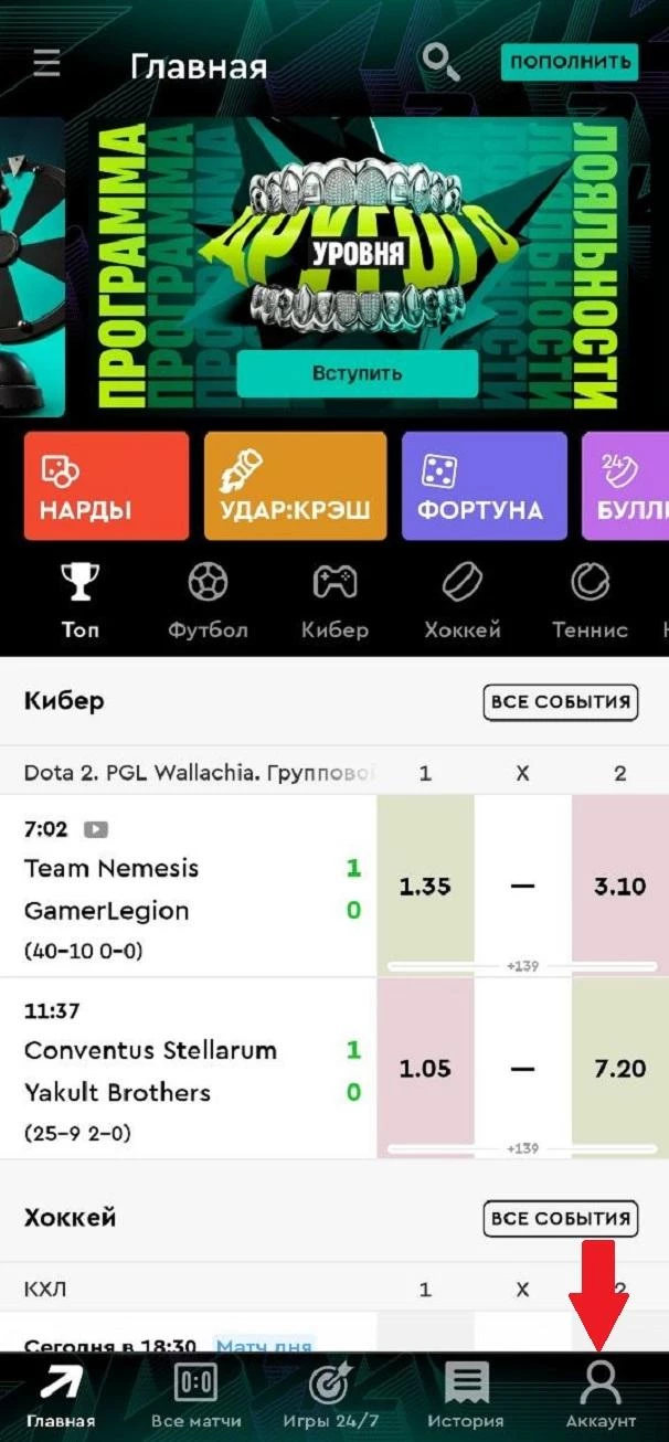 Раздел аккаунт в приложении БК Пари